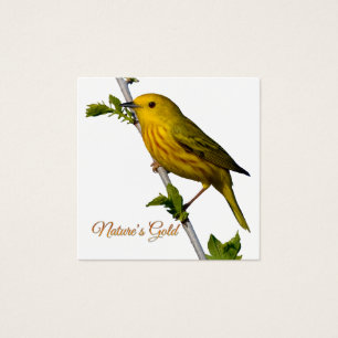 Gelbe Warbler "Nature's Gold" gedruckte Kunstkarte