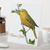 Gelbe Warbler "Nature's Gold" gedruckte Kunstkarte Sockelschild (In Situ)