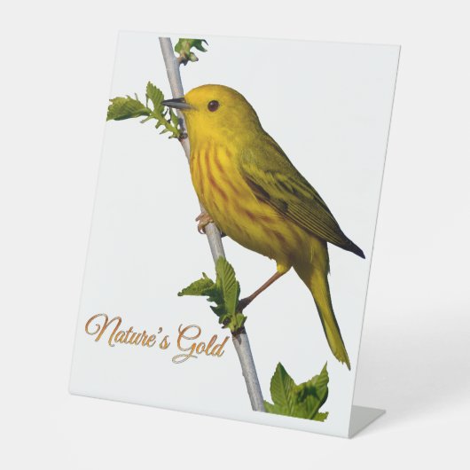 Gelbe Warbler "Nature's Gold" gedruckte Kunstkarte Sockelschild (Vorderseite)