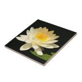 Gelbe Wasserlilie-Fliese Fliese (Seite)