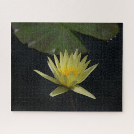 Gelbe Wasserlilie Jigsaw Puzzle (Horizontal)