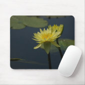 Gelbe Wasserlilie Mousepad (Mit Mouse)