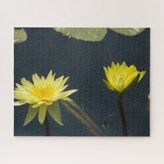 Gelbe Wasserlilien Dragonfly Jigsaw Puzzle (Horizontal)
