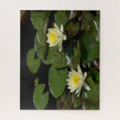 Gelbe Wasserlilien Jigsaw Puzzle (Vertikal)