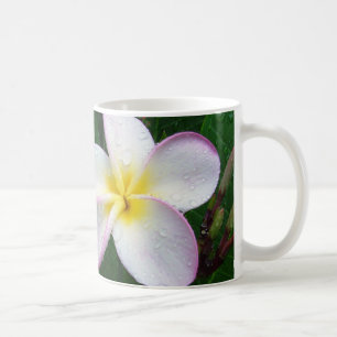 Gelbe weiße u. lila hawaiische kaffeetasse