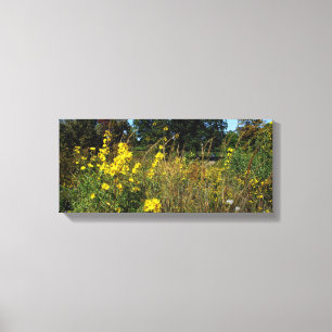 Gelbe Wiesenblumen Foto  Leinwanddruck