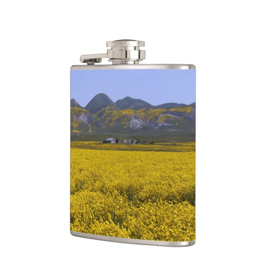 Gelbe Wildblume Flachmann (Links)