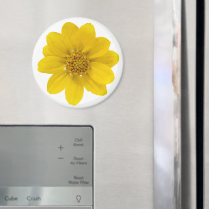 Gelbe Wildblume Magnet