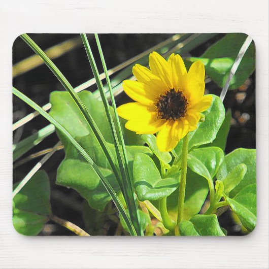 Gelbe Wildblume Mousepad (Vorne)