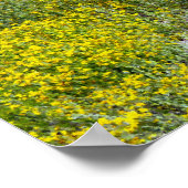 Gelbe Wildblume Poster (Ecke)