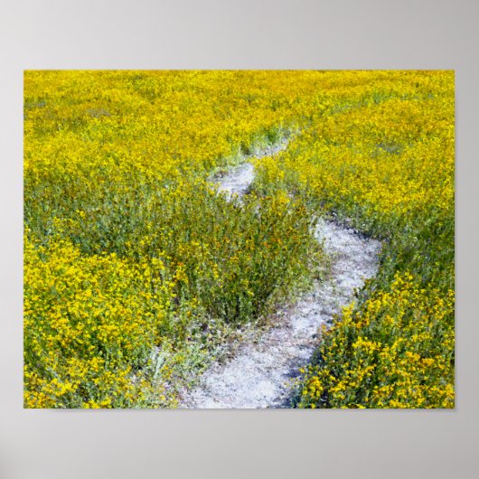 Gelbe Wildblume Poster (Vorne)