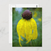 Gelbe Wildblume Postkarte (Vorne/Hinten)
