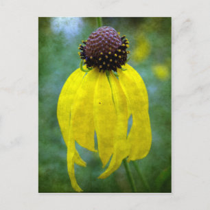 Gelbe Wildblume Postkarte