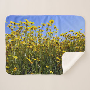 Gelbe Wildblume Sherpadecke