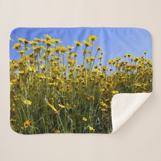 Gelbe Wildblume Sherpadecke (Vorderseite (Horizontal))