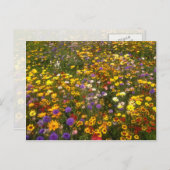 Gelbe Wildblumen Blume Postkarte (Vorne/Hinten)