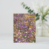 Gelbe Wildblumen Blume Postkarte (Stehend Vorderseite)