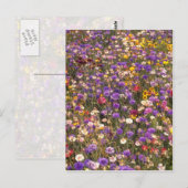 Gelbe Wildblumen Blume Postkarte (Vorne/Hinten)