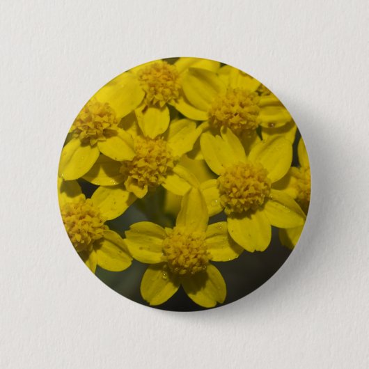 Gelbe Wildblumen Button (Vorderseite)