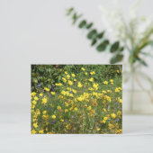 Gelbe Wildblumen DICKE Postkarte (Stehend Vorderseite)