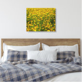 Gelbe Wildblumen Foto Leinwand (Insitu (Schlafzimmer))