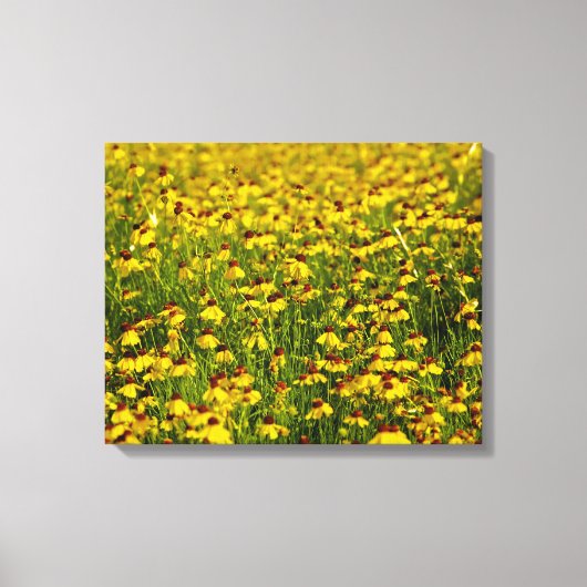 Gelbe Wildblumen Foto Leinwand (Vorderseite)
