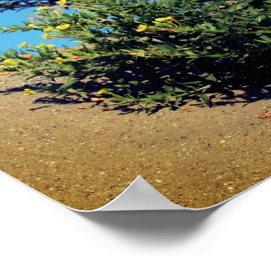 Gelbe Wildblumen im Sand Poster (Ecke)