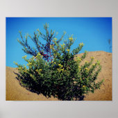 Gelbe Wildblumen im Sand Poster (Vorne)