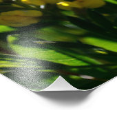 Gelbe Wildblumen im Sandia-Gebirge Fotodruck (Ecke)