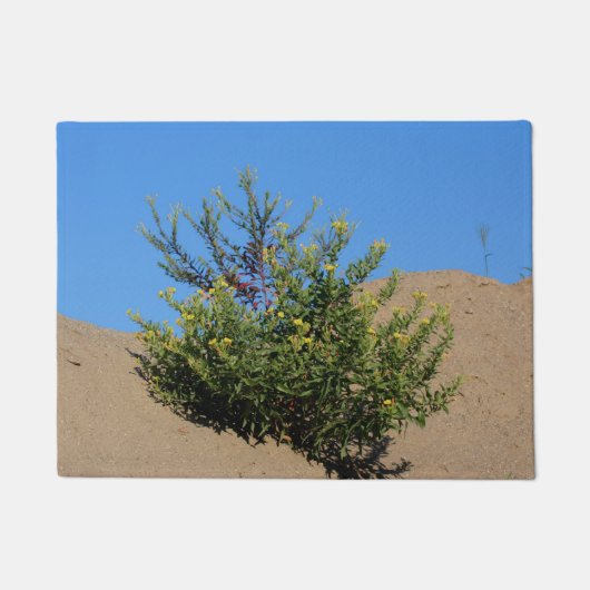 Gelbe Wildblumen in Sand und Blumen Fußmatte (Vorderseite)