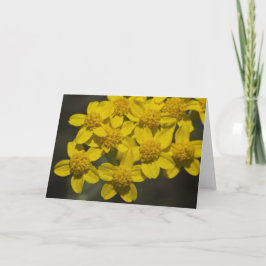 Gelbe Wildblumen Karte