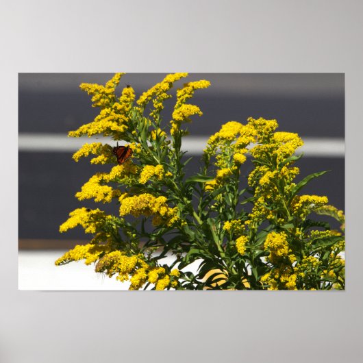 Gelbe Wildblumen mit Butterfly-Poster Poster (Vorne)