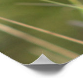 Gelbe Wildblumen mit Butterfly-Poster Poster (Ecke)