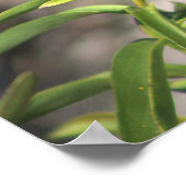Gelbe Wildblumen mit Butterfly-Poster Poster (Ecke)