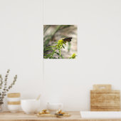 Gelbe Wildblumen mit Butterfly-Poster Poster (Küche)