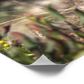 Gelbe Wildblumen mit Butterfly-Poster Poster (Ecke)
