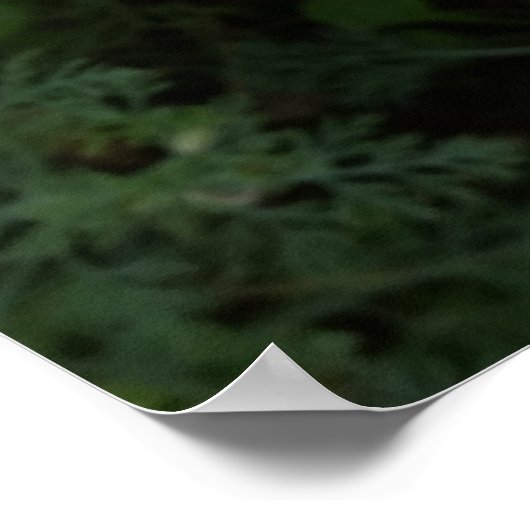 Gelbe Wildblumen Poster (Ecke)