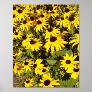Gelbe Wildblumen Poster