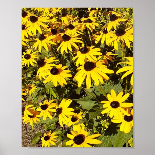 Gelbe Wildblumen Poster (Vorne)