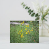 Gelbe Wildblumen Postkarte (Stehend Vorderseite)