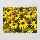 Gelbe Wildblumen Postkarte (Vorderseite)