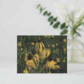 Gelbe Wildblumen Postkarte (Stehend Vorderseite)