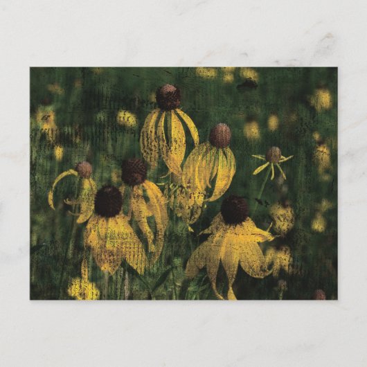 Gelbe Wildblumen Postkarte (Vorderseite)