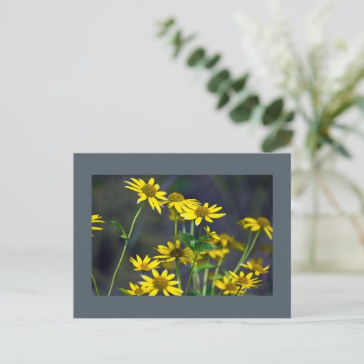 Gelbe Wildblumen Postkarte (Stehend Vorderseite)