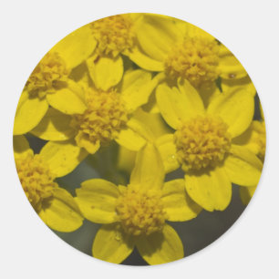 Gelbe Wildblumen Runder Aufkleber