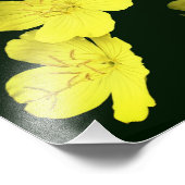 Gelbe Wildgeranin-Blume 8x10 Fotodruck (Ecke)
