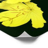 Gelbe Wildgeranine-Blume Poster (Ecke)