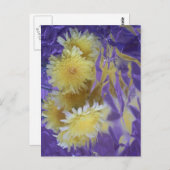 Gelbe Wüsten-wilde Blumen Postkarte (Vorne/Hinten)