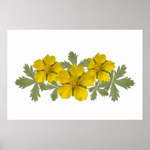 Gelbe Yosemite-Wildblumen-Poster Poster