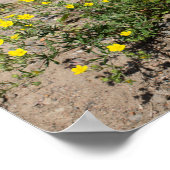 Gelbe, zarte Blumen auf dem Sand Poster (Ecke)
